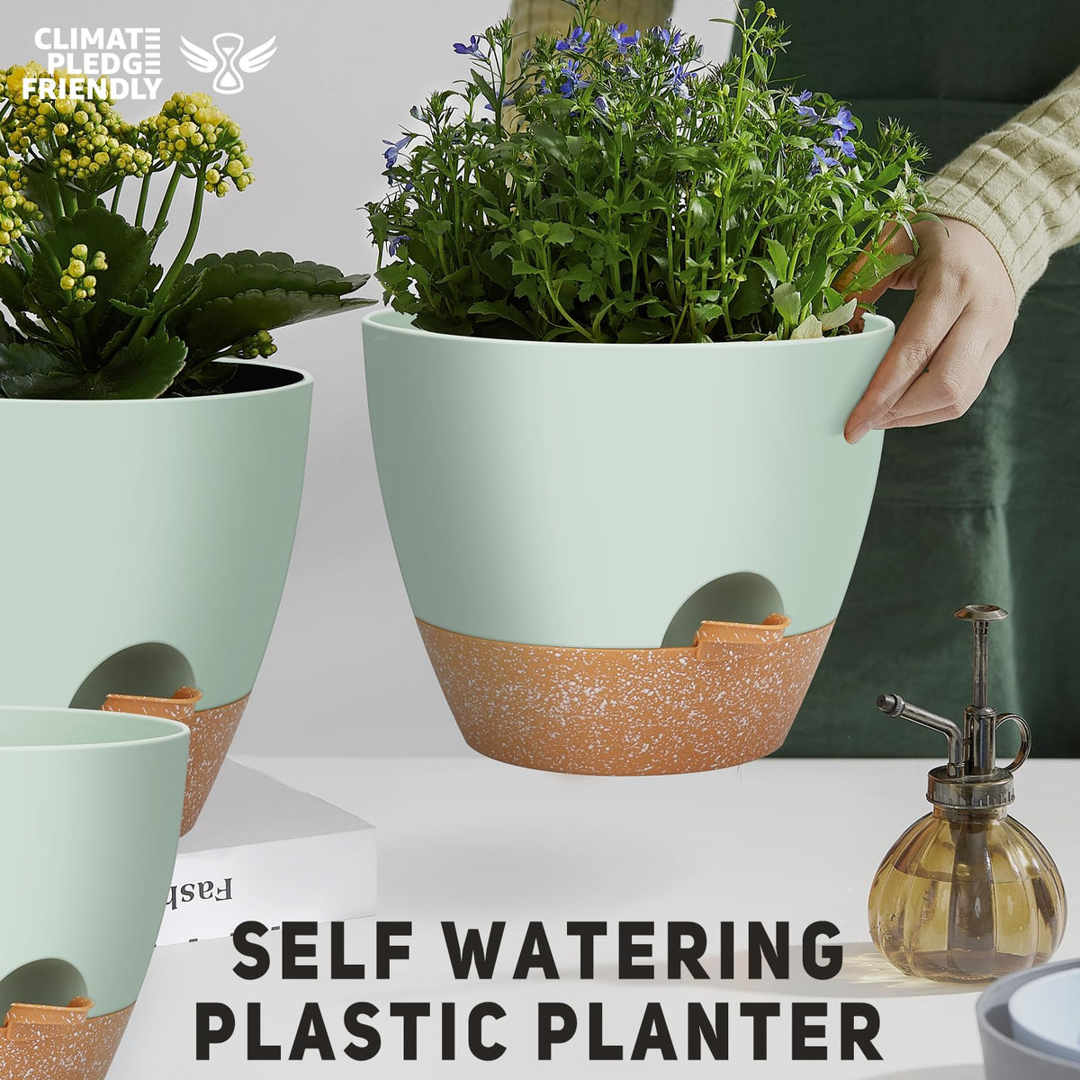 YNNICO 9-inch self-watering pot showing versatile indoor placement