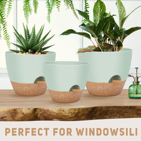 YNNICO built-in tray with removable feeder for flexible watering options