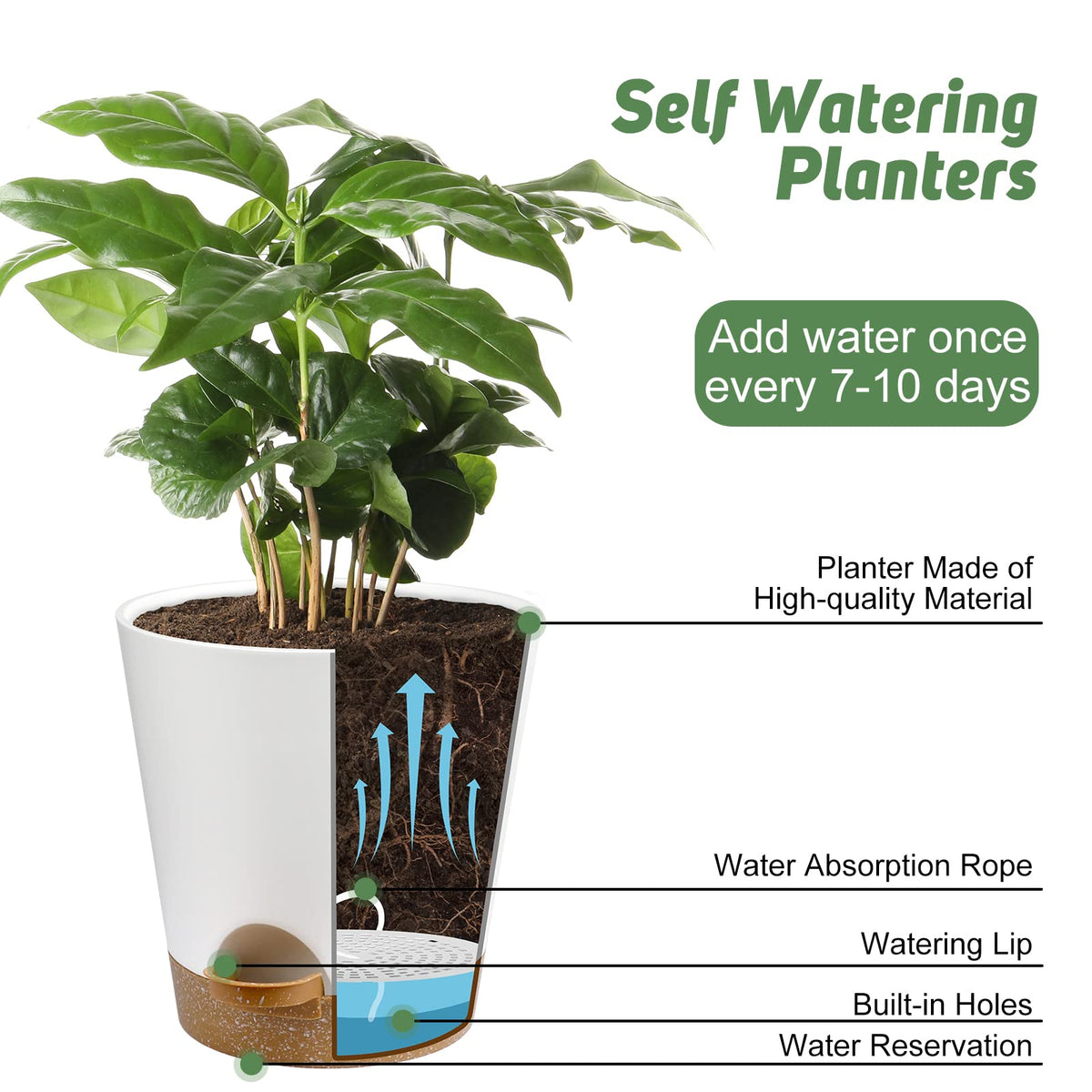 YNNICO 5-5-inch planter provides a tidy home space with bottom reservoir for spill-free watering