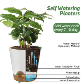 YNNICO 5-5-inch planter provides a tidy home space with bottom reservoir for spill-free watering