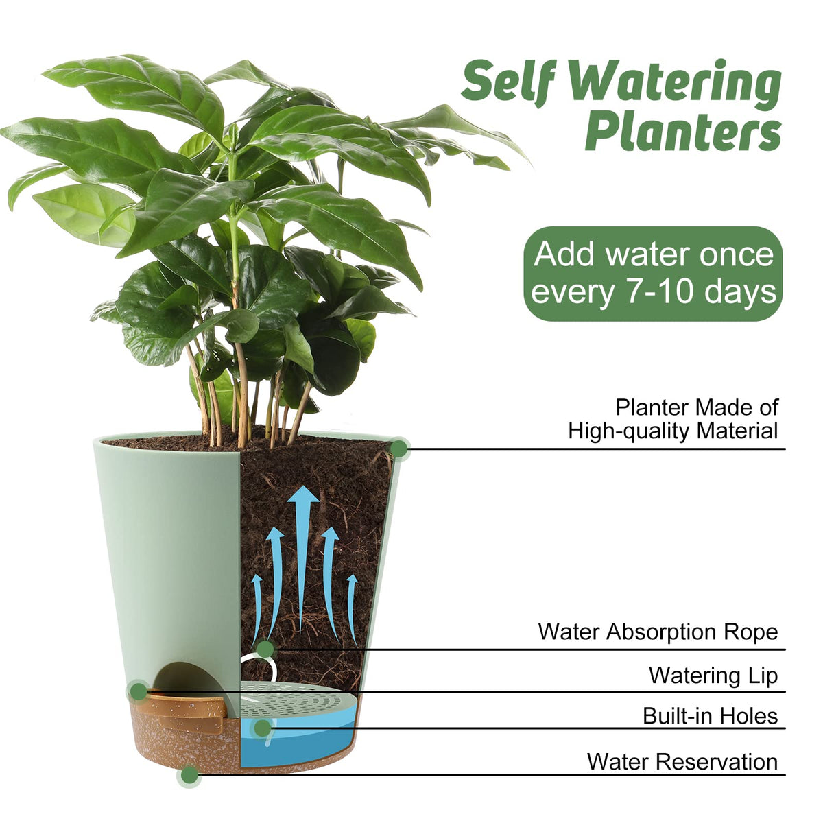 YNNICO 5.5-inch green pot keeps small herbs hydrated and tidy.
