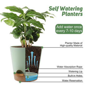 YNNICO 5.5-inch green pot keeps small herbs hydrated and tidy.