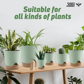 YNNICO six-pot set enables tidy, space-saving indoor gardening.