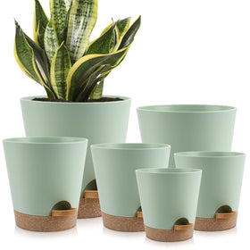 YNNICO 8-inch green self-watering planter with drainage for easy indoor plant care.