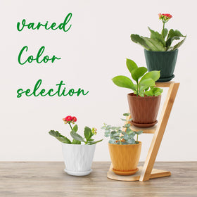 YNNICO 4-inch pots provide a clean matte finish for versatile indoor use.