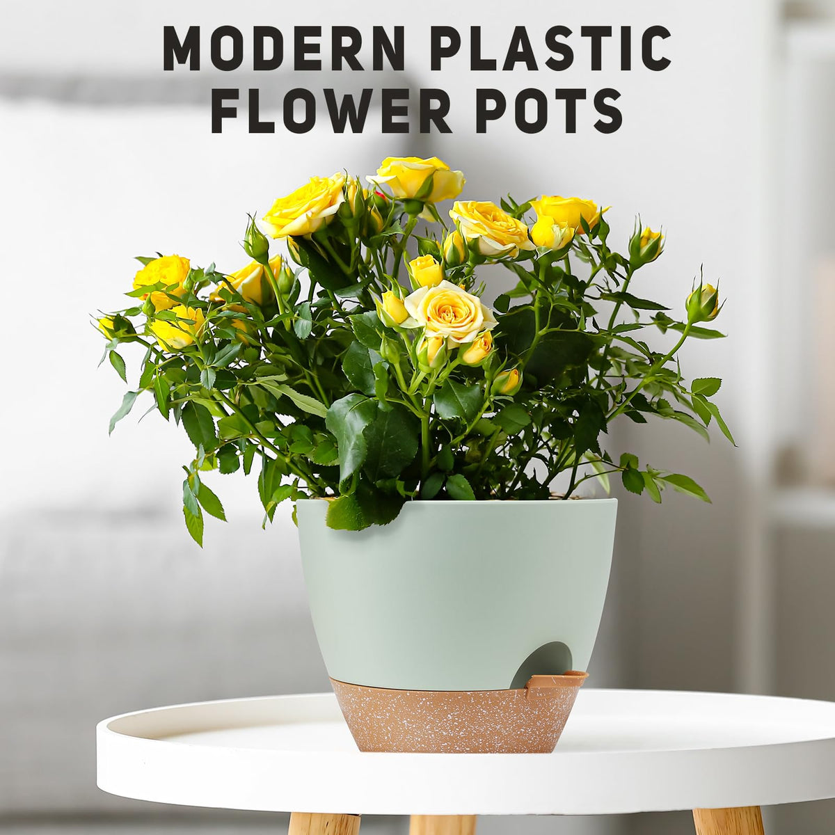YNNICO modern container garden display suited for windowsills and desks