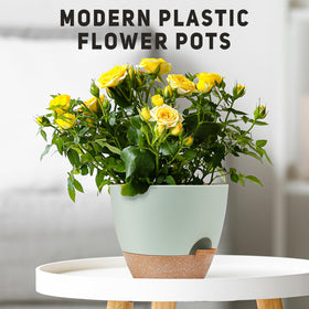 YNNICO modern container garden display suited for windowsills and desks