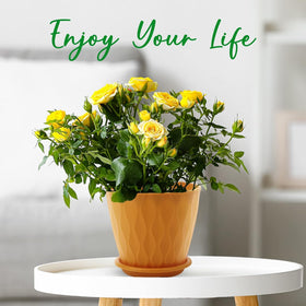 Modern minimalist YNNICO design complements home and office decor.