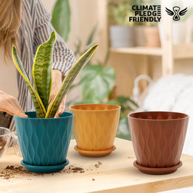 Five-pack plant pots ideal for aloe, snake plant, and succulents.