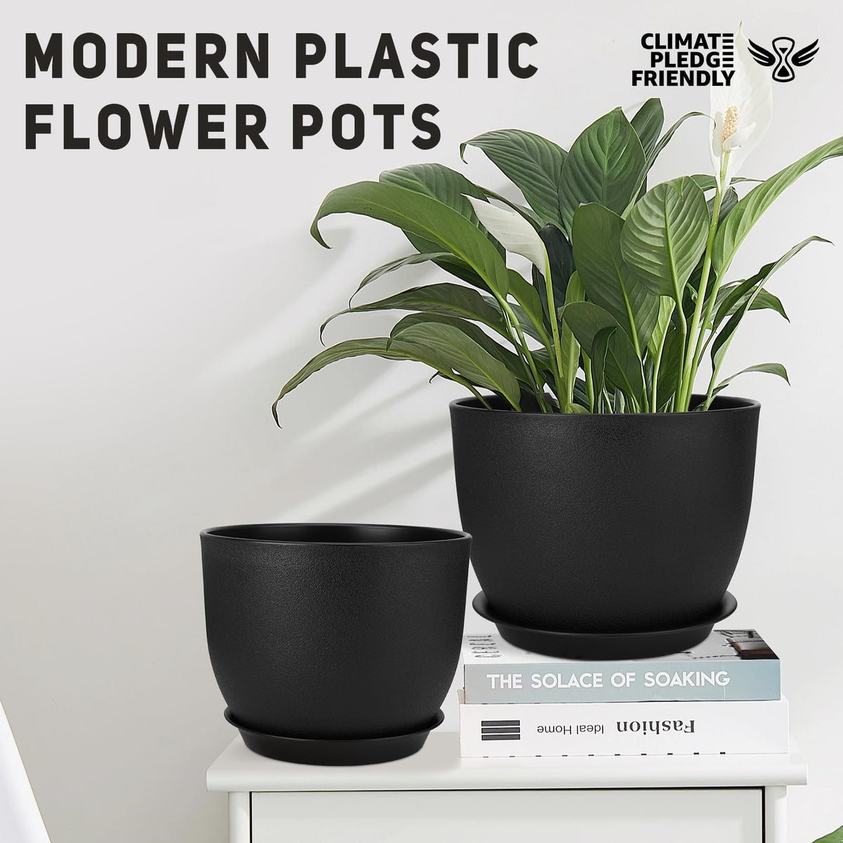 YNNICO built-in tray demonstrates bottom watering