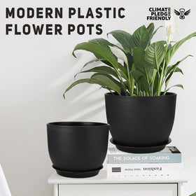 YNNICO built-in tray demonstrates bottom watering