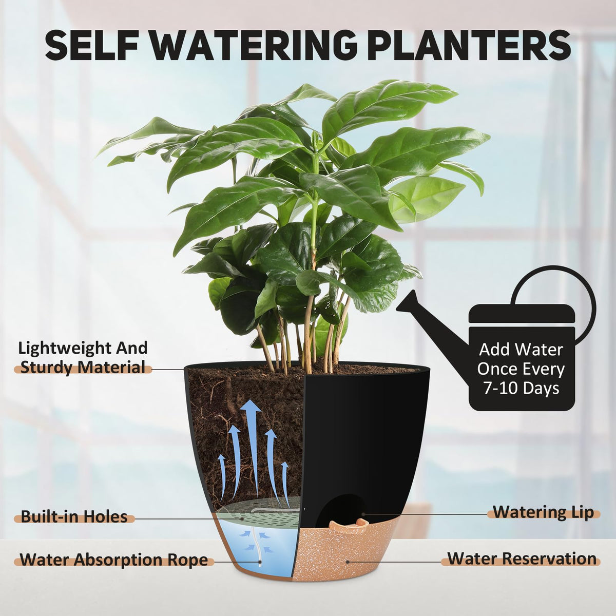 YNNICO removable watering feeder tray – bottom-watering option for convenience.