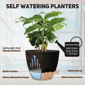 YNNICO removable watering feeder tray – bottom-watering option for convenience.