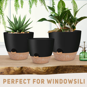YNNICO removable watering feeder with built-in tray for easy watering.