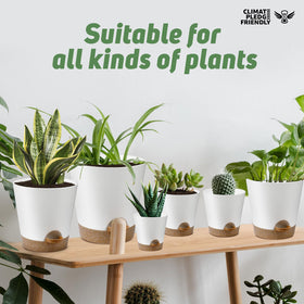 YNNICO self-watering planter set with saucers keeps surfaces clean and supports healthy watering