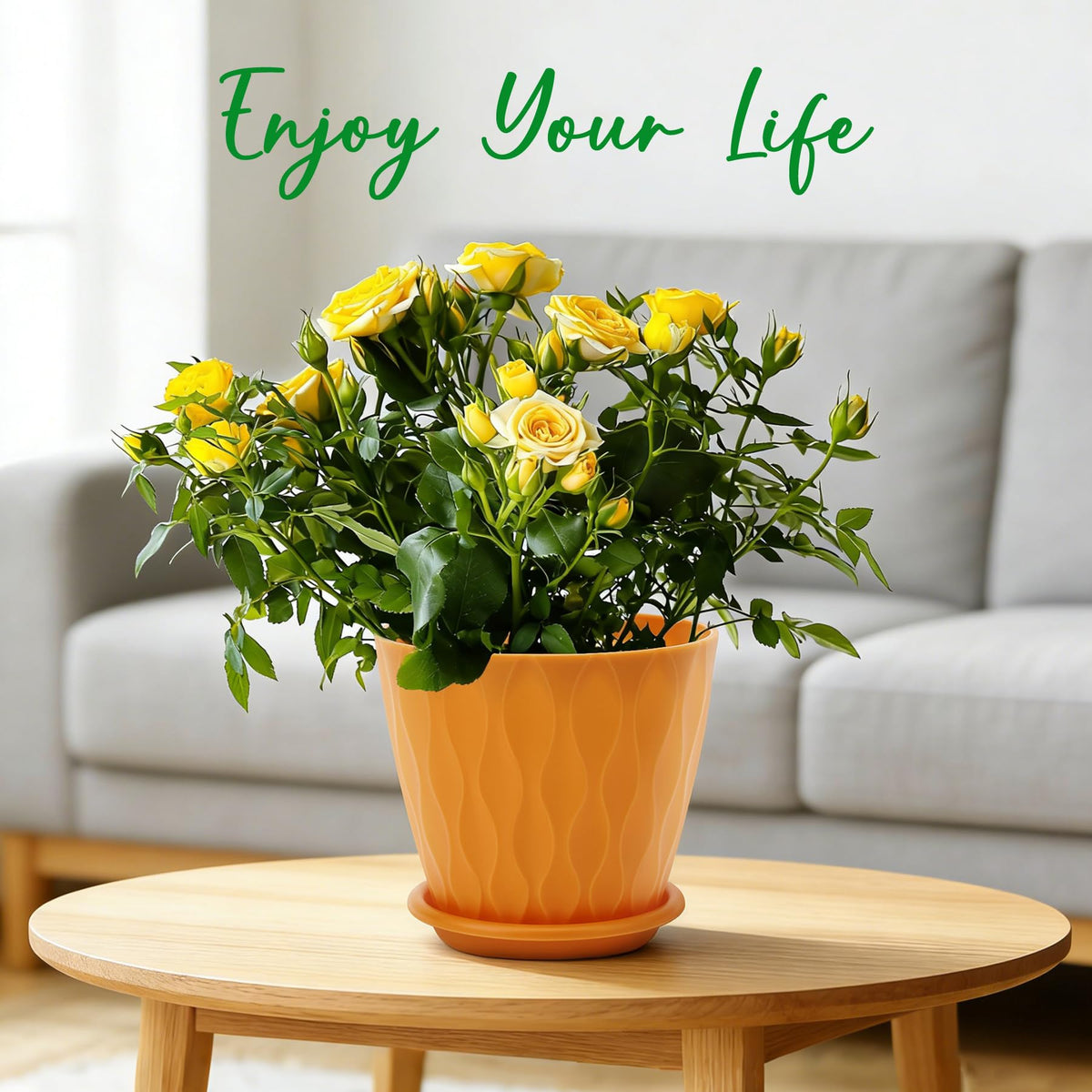 YNNICO 6-inch pots arranged for small to medium plant displays on a shelf.