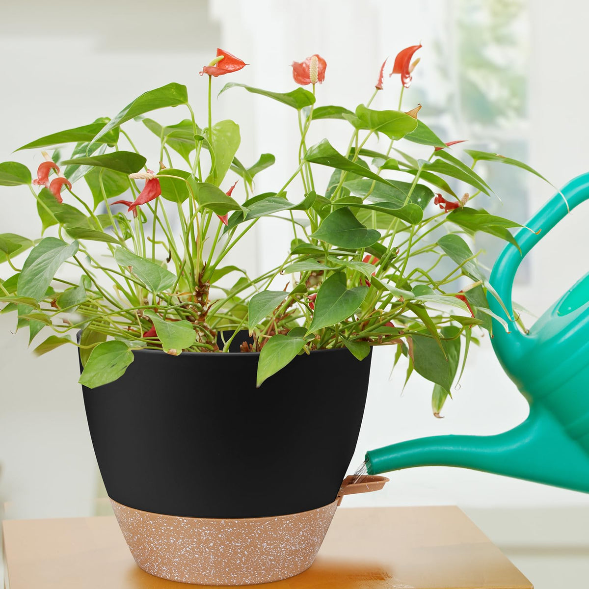 YNNICO sturdy plastic PP material – lightweight and durable planter.