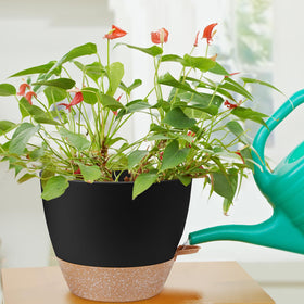 YNNICO sturdy plastic PP material – lightweight and durable planter.