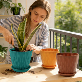 YNNICO durable polypropylene keeps pots light, odor-free, and resistant to deformation.