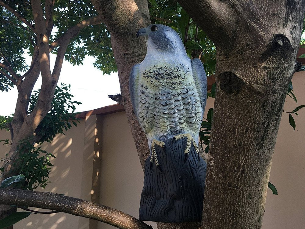 YOFIT realistic hawk decoy close-up shows detailed molded plastic.