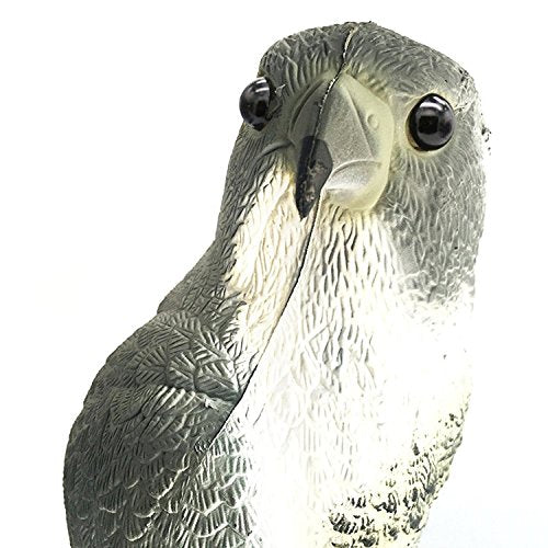 YOFIT hawk decoy on a pole ideal for easy garden setup.