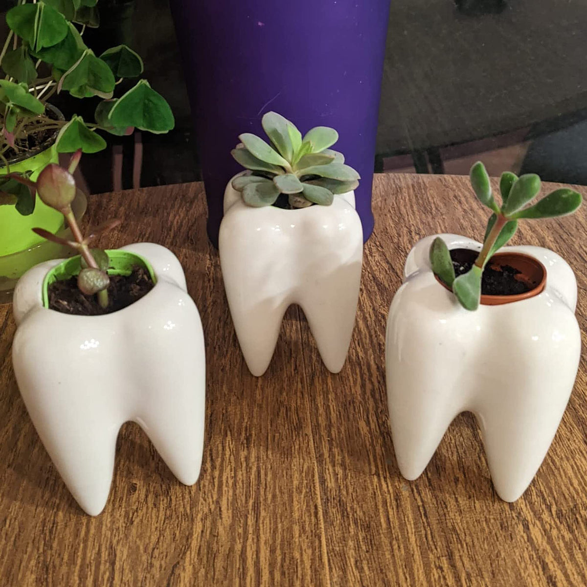 YOFIT teeth pots help organize small desk items neatly.