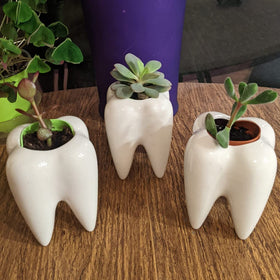YOFIT teeth pots help organize small desk items neatly.