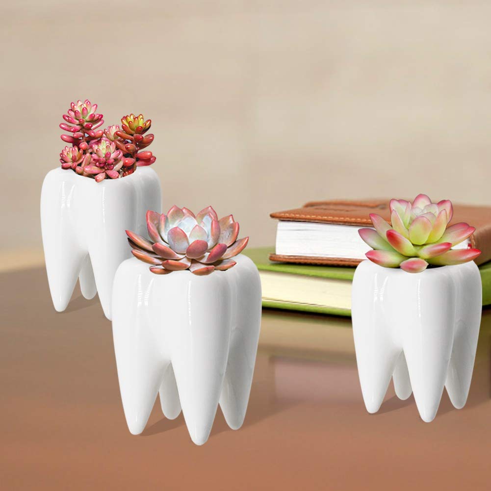 YOFIT teeth pots brighten desks with a modern vibe.