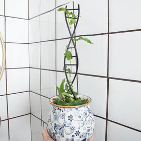 Yohsnor indoor-outdoor trellis display complements modern home decor and garden setups.