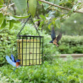 Yojanner 1-suet-cake-capacity ideal for compact bird treats.