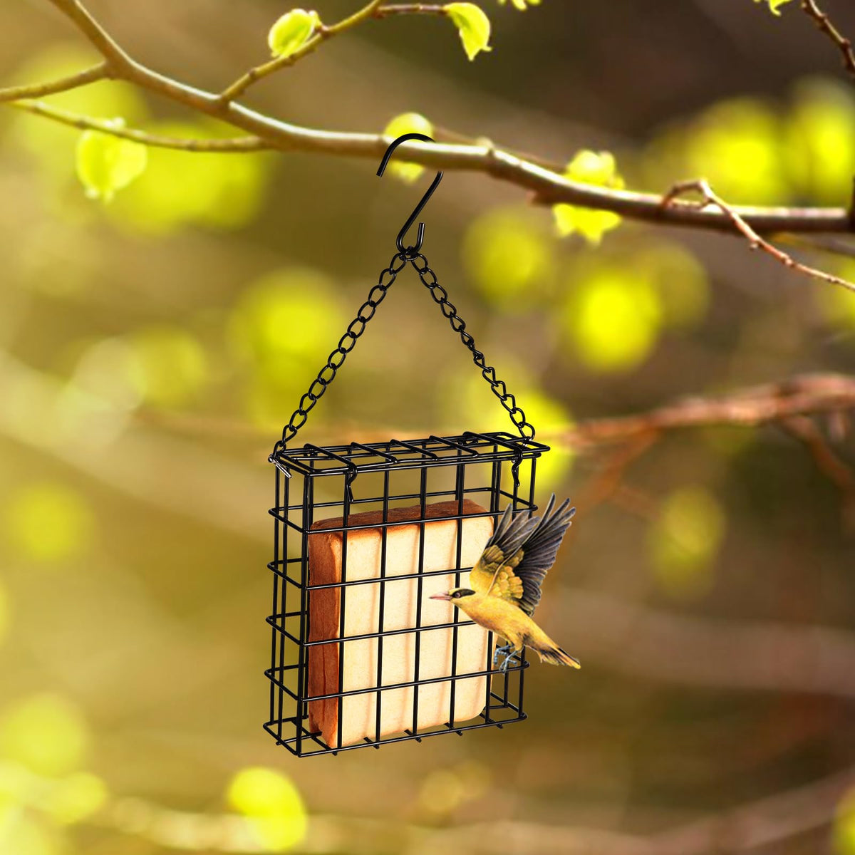 Yojanner grid design allows birds to perch and feed comfortably.