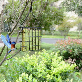 Yojanner winter-ready energy source supports small birds in cold months.