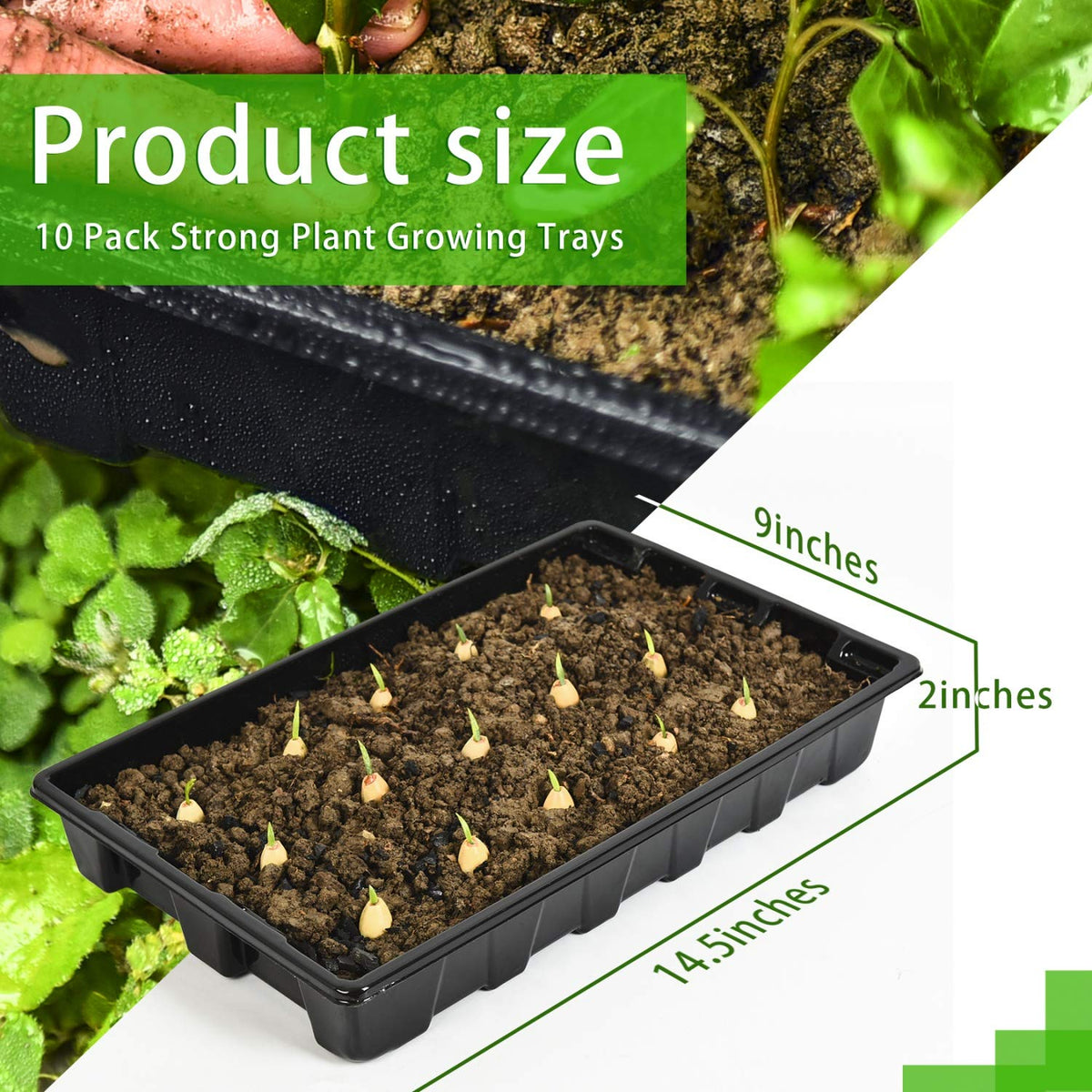 YoleShy seed tray with deeper ridges supporting stable root growth.