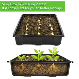 YoleShy seed tray without holes keeps moisture contained for seedling care.