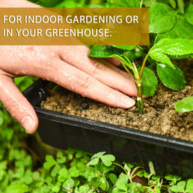YoleShy seed tray saves time watering by grouping germinating cells.