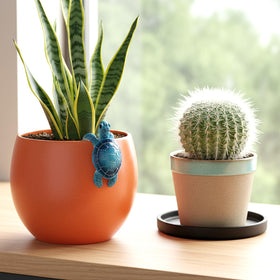 Yolev hanging turtle figurine suits small succulents nicely.