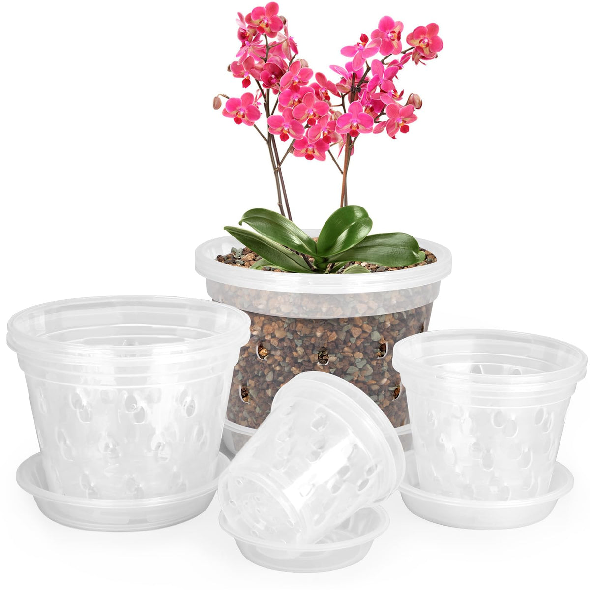 YOPIKUU orchid pot 3-inch clear shows roots for moisture checks.