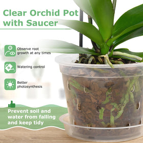 YOPIKUU orchid pot with saucers helps catch excess water
