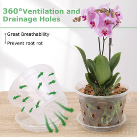YOPIKUU transparent orchid pot lets sunlight reach roots for healthy growth