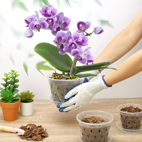 YOPIKUU orchid pot on window sills or patios enhances decor
