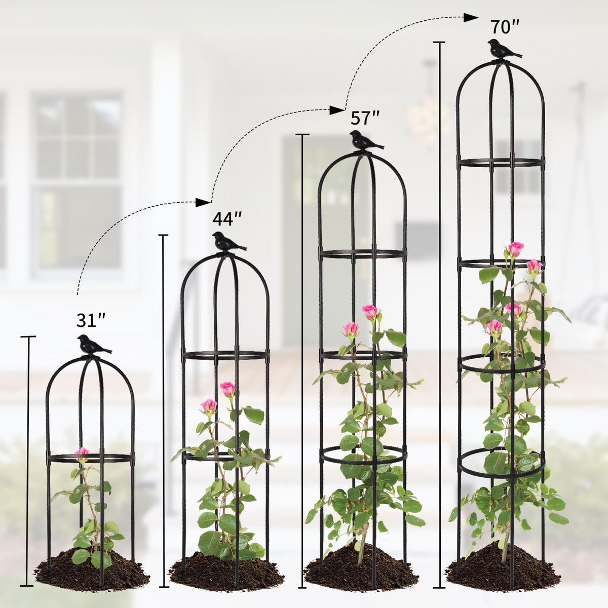 Yotoworth Garden Obelisk Trellis helps ivy and clematis thrive with steady support