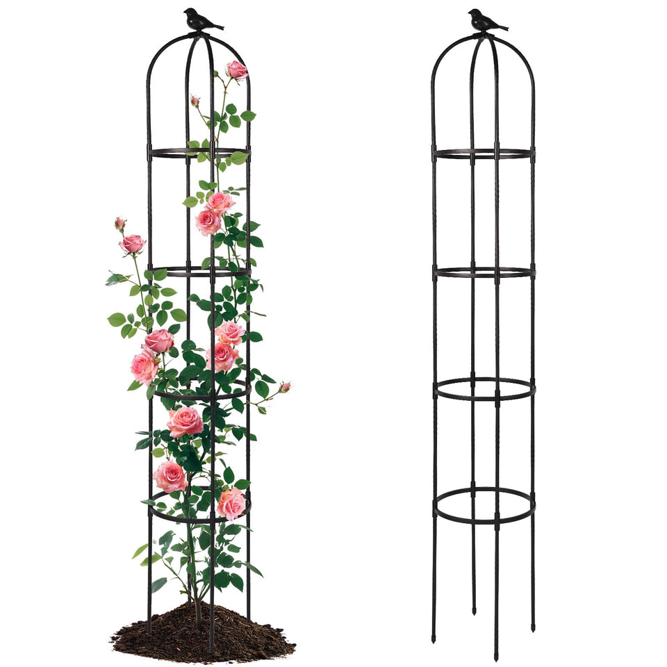 Yotoworth Garden Obelisk Trellis rose climbing support for blooms