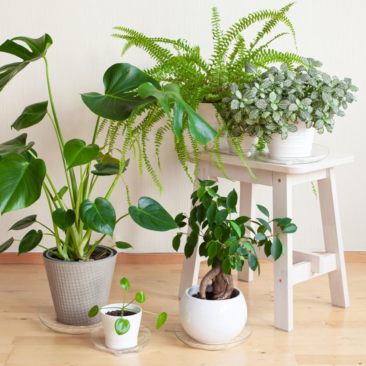 Youeon clear plant saucer 10-inch petal-bottom adds elegance and protection.