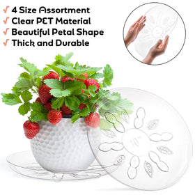Youeon clear plant saucer 10-inch with feet guards indoor floors from spills.