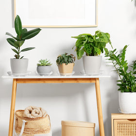 Youeon clear plant saucer durable-stackable design helps organize shelves.