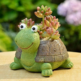 Youfui gift-ready turtle planter suitable for women plant lovers.
