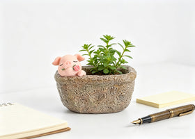 Youfui pig office desk plant pot brightening workspaces.