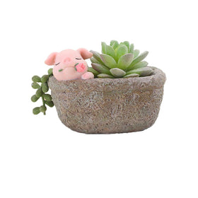 Youfui pig size 4.52x3.15x3.35 inches compact planter.