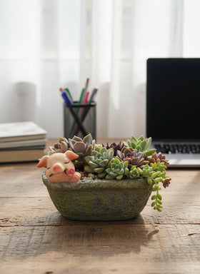 Youfui pig succulent planter crafted for indoor decor.