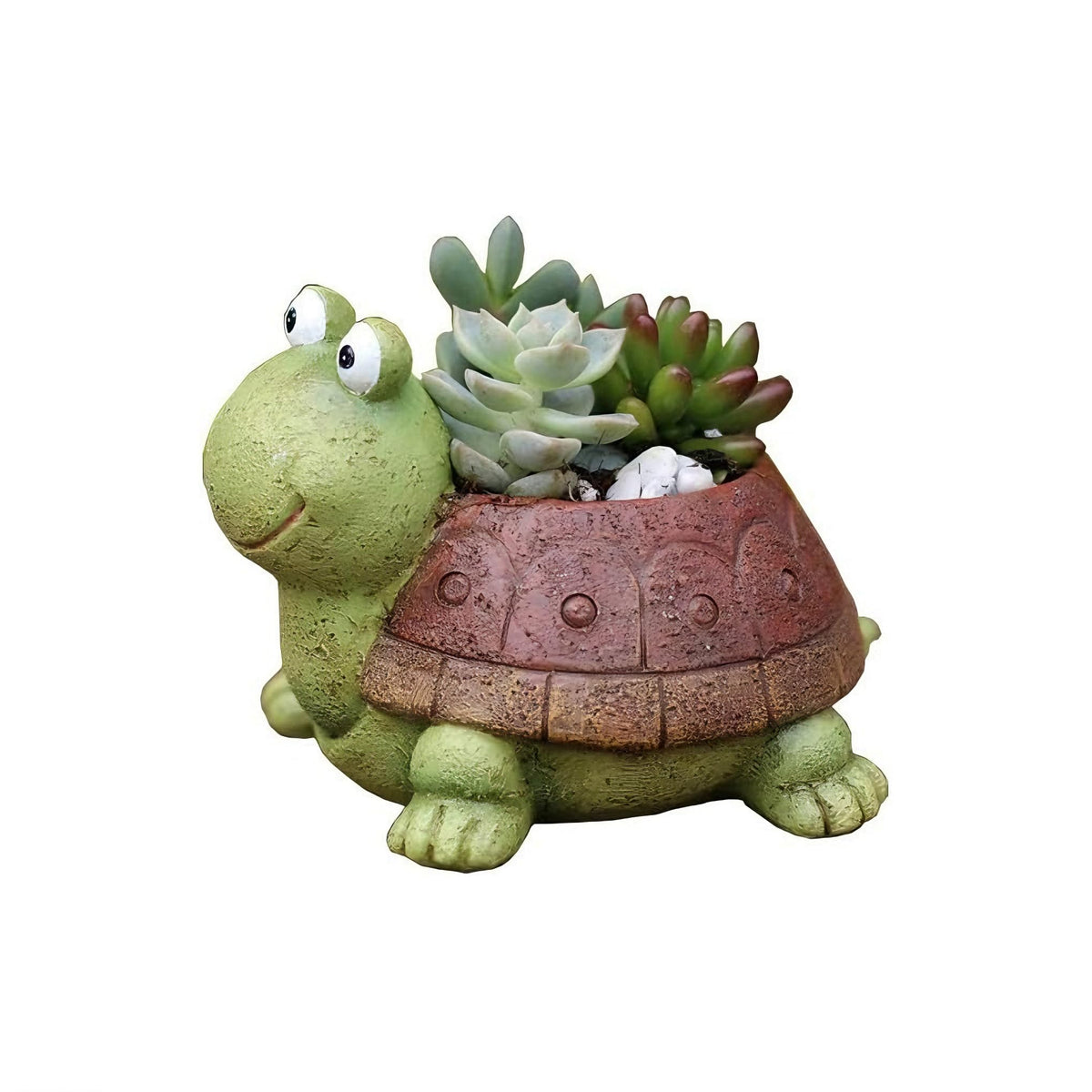 Youfui turtle succulent pot with drainage hole promotes healthy roots.